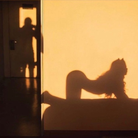 Violet cover image