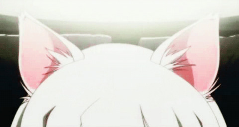 WolfieZaiah cover image