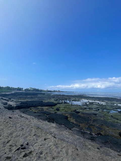 kaelani cover image