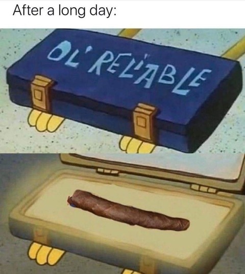 Reginald Regionz cover image