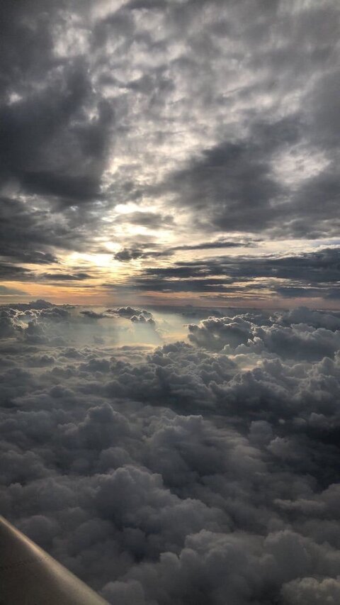 Therapy cover image