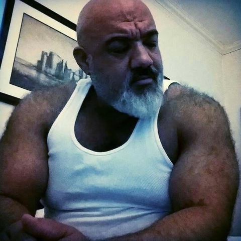 Daddy Bear 69 cover image