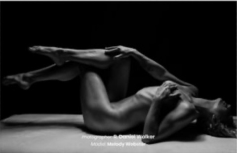 Harmony Morningstar cover image