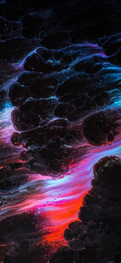 Jay cover image