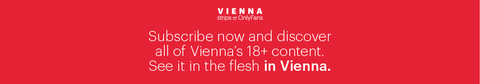Vienna cover image