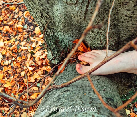 Estrid | Natural Nordic Forest Nymph cover image
