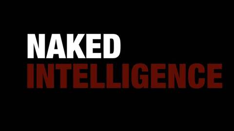 Naked Intelligence Raw cover image