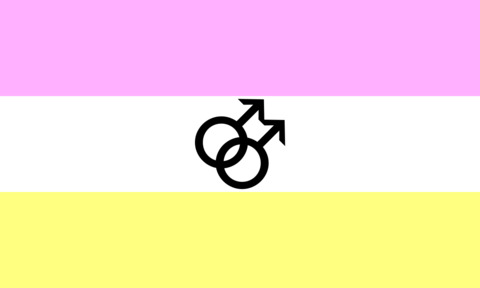 NIGayGuy cover image