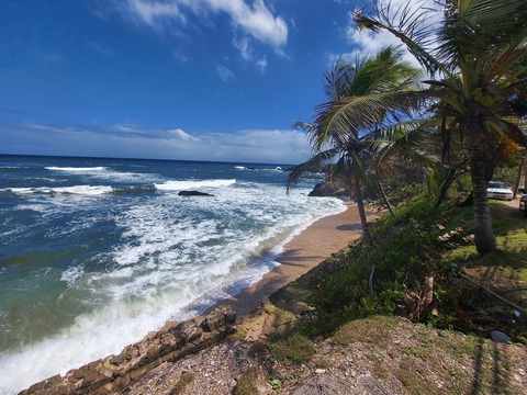 Islandpearl cover image