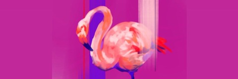 🦩 𝒮𝓁𝒾𝓂 𝒞𝒽𝒾𝒸 🦩 cover image