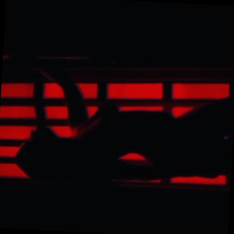 Lenise cover image