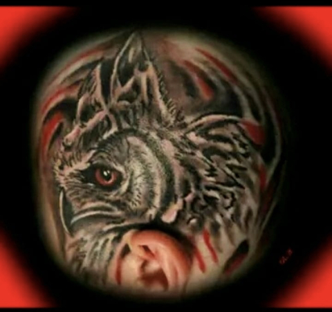 Mouth cover image
