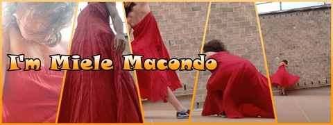 Miele Macondo cover image