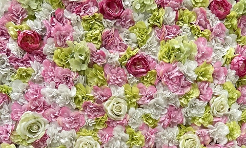 renee cover image