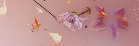 t cover image