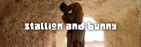 Stallion and Bunny cover image