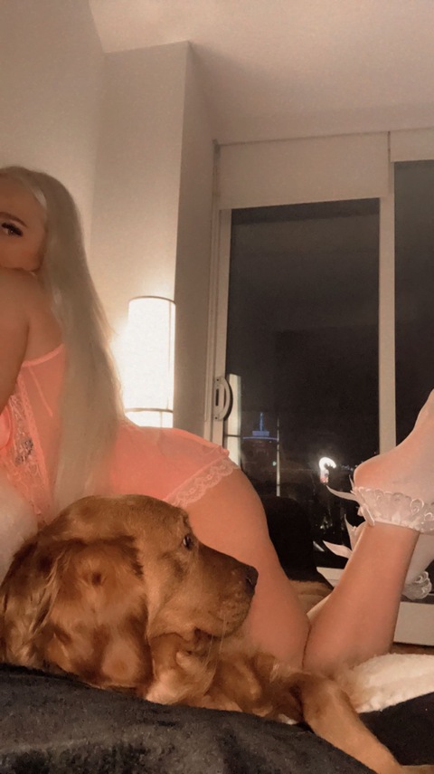 Lexi cover image