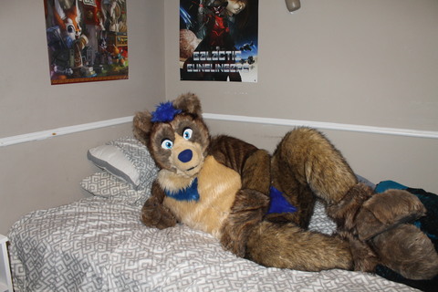 Alaster Fox cover image