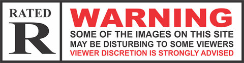 CMD cover image