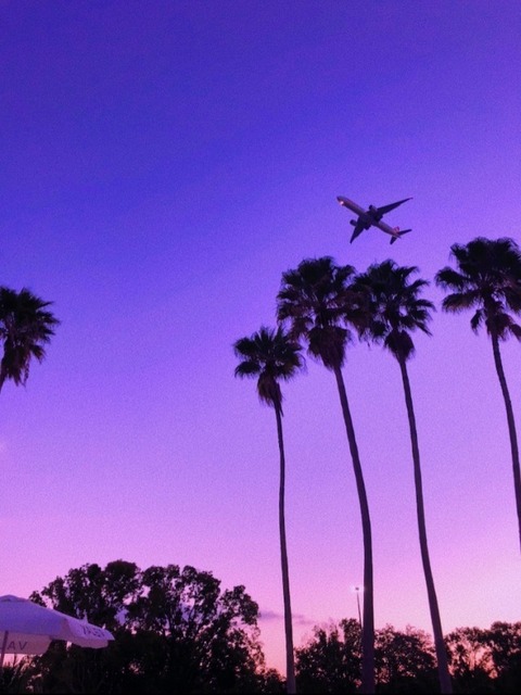 Miami Hensley cover image