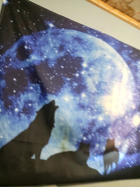 Tyler wolf cover image