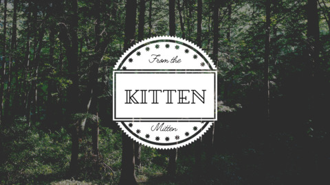 Kitten cover image