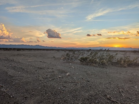 𝐂𝐨𝐝𝐲 𝐒𝐮𝐧𝐬𝐡𝐢𝐧𝐞 ᶠʳᵉᵉ☀ cover image