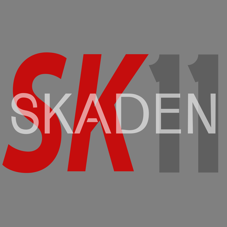 Skaden11 cover image