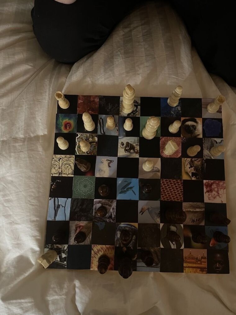 Shea cover image