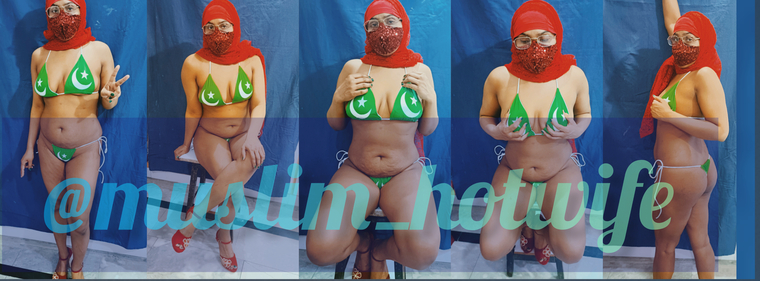 Muslim hotwife 🧕🇵🇰 cover image