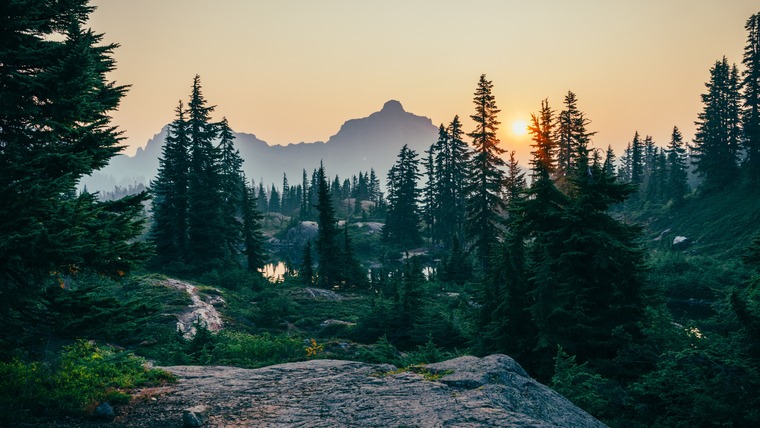 ForestCliff cover image