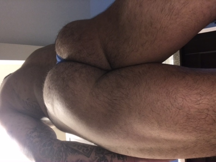 Briefsbull cover image