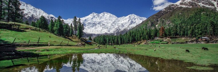 Usman cover image