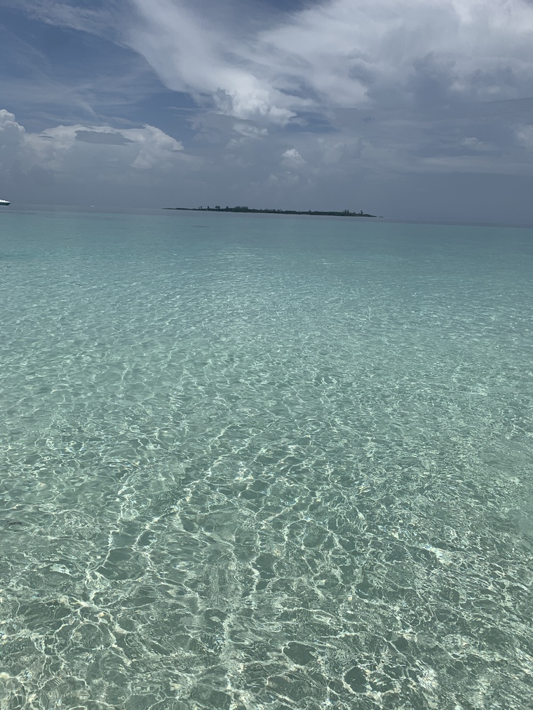 Costaricanpapii cover image