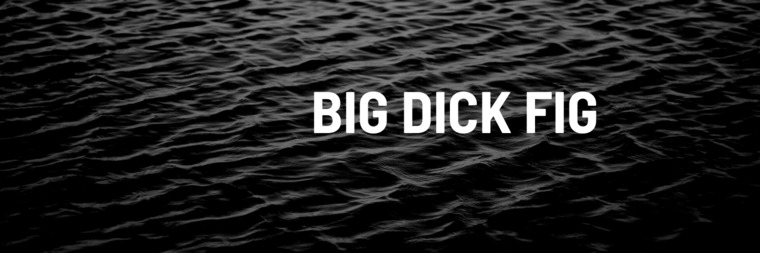 bigdickfig cover image