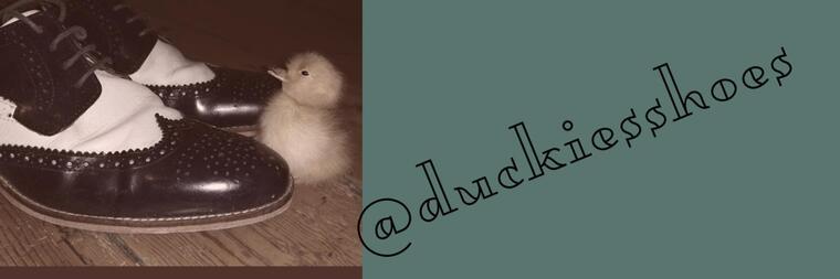 Duckie's Shoes cover image
