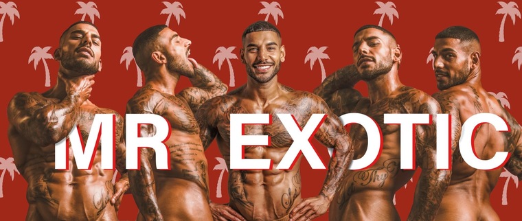 𝗠𝗿 𝗘𝘅𝗼𝘁𝗶𝗰 🌴 🥥 cover image