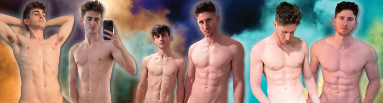 The Step Brothers cover image