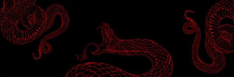 Vinnyb cover image