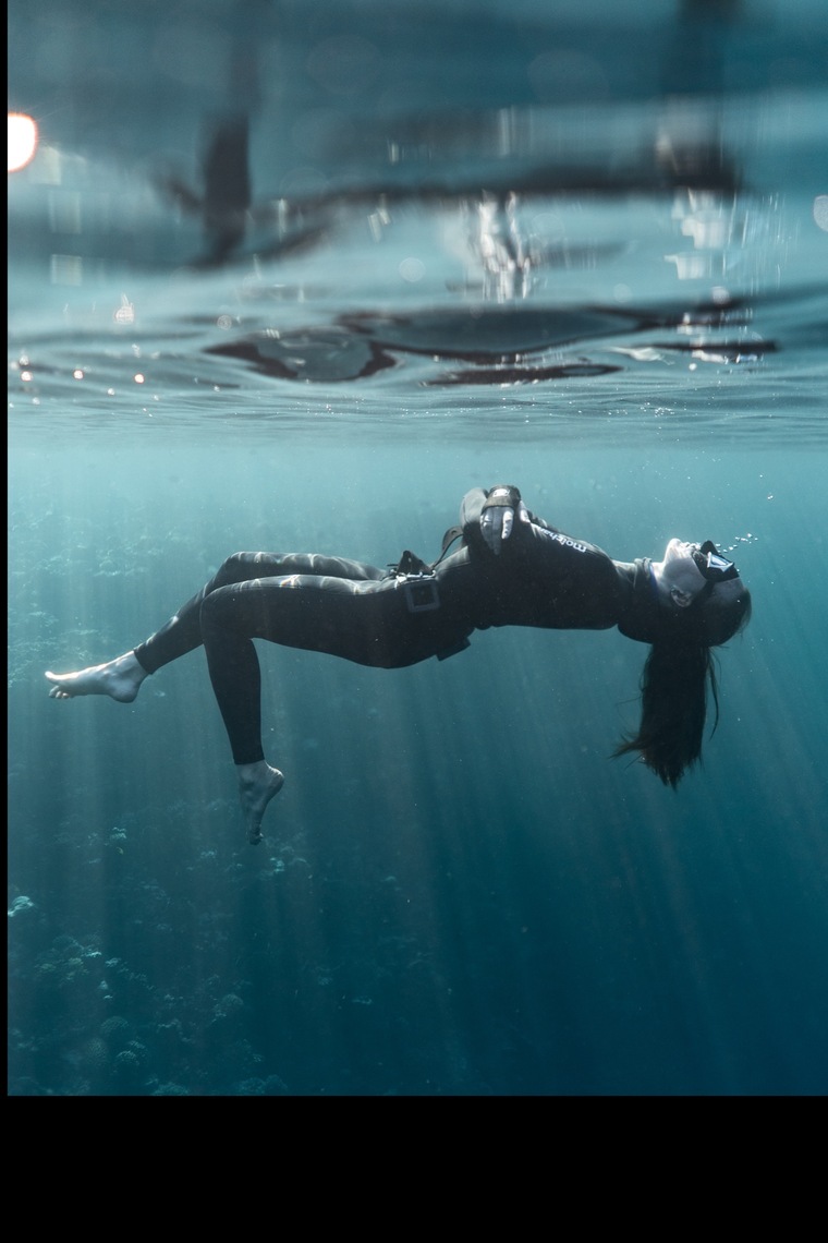 ALFAKSU cover image